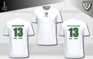 TEE-SHIRT CHAMPION DE FRANCE